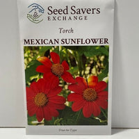 Thumbnail for Torch Mexican Sunflower Open Pollinated Seeds