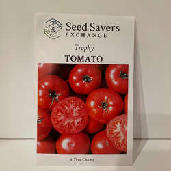 Trophy Tomato, Heirloom Open Pollianted Seeds