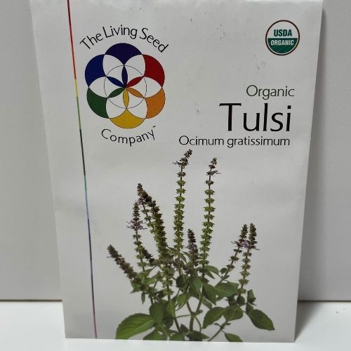 Organic Tulsi (Holy Basil), Ancient Heirloom