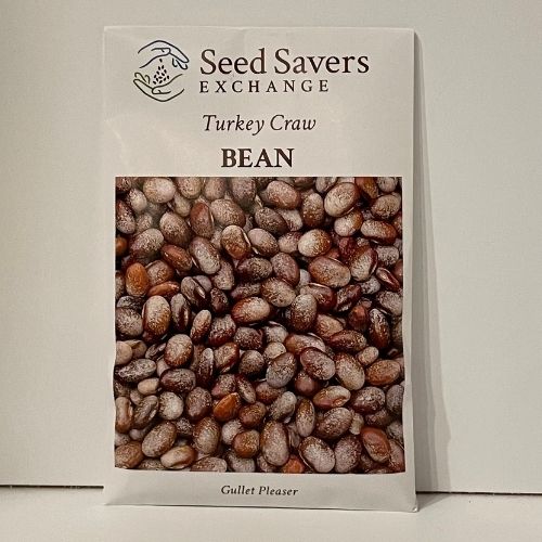Turkey Craw Open Pollianted Heirloom bean