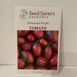 Ukrainian Purple Tomato Open Pollinated Seeds