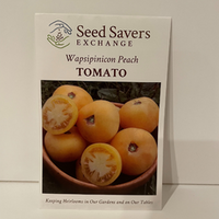 Thumbnail for Wapsipinicon Peach Tomato 1890 Heirloom Open Pollianted Seeds