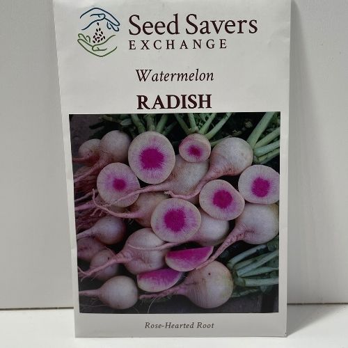 Watermelon Radish Open Pollinated Seeds