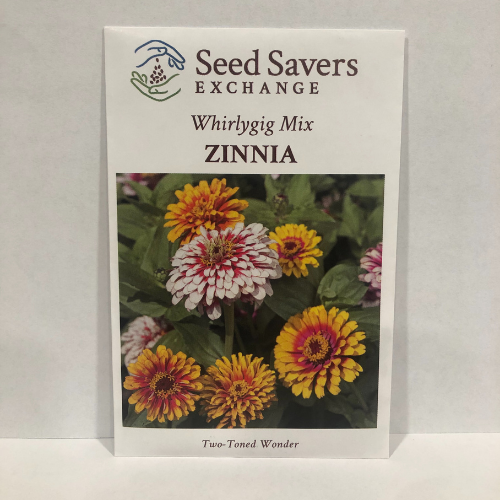 Whirlygig Mix Zinnia Flower