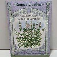 Thumbnail for White Ice Lavender Seeds