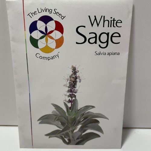 White Sage Seeds Native Seeds