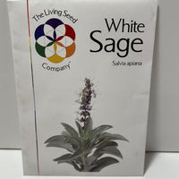 Thumbnail for White Sage Seeds Native Seeds
