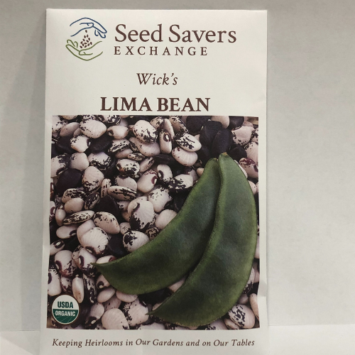 Wick's Lima Bean pre 1930's Heirloom, Organic
