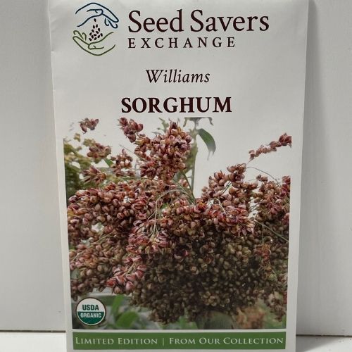 Organic Williams Sorghum Heirloom Seeds