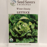 Thumbnail for Organic Winter Density Lettuce, Heirloom
