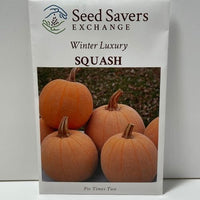 Thumbnail for Winter Luxury Squash Heirloom Open Pollinated Seeds