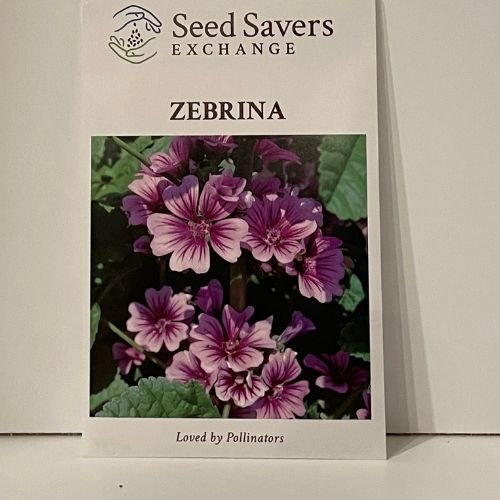 Zebrina Flower Seeds