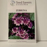 Thumbnail for Zebrina Flower Seeds