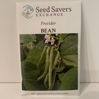 Thumbnail for Provider Bush Bean