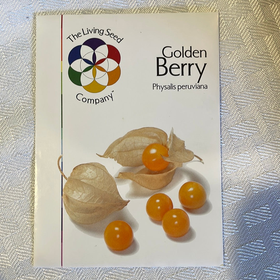 Golden Berry Inca Berry, (Ground Cherry) Ancient Heirloom,