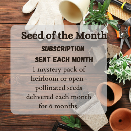 Monthly Mystery Seed Subscription - 4 Great Options